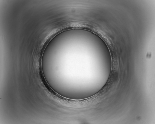 X0000099410015200805161033