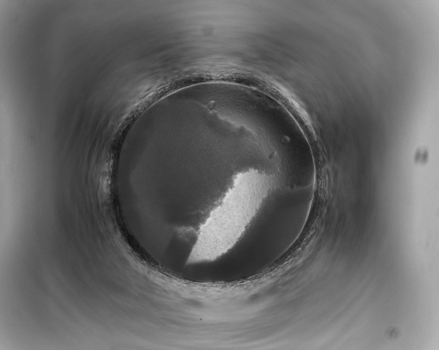 X0000099410018200805161033