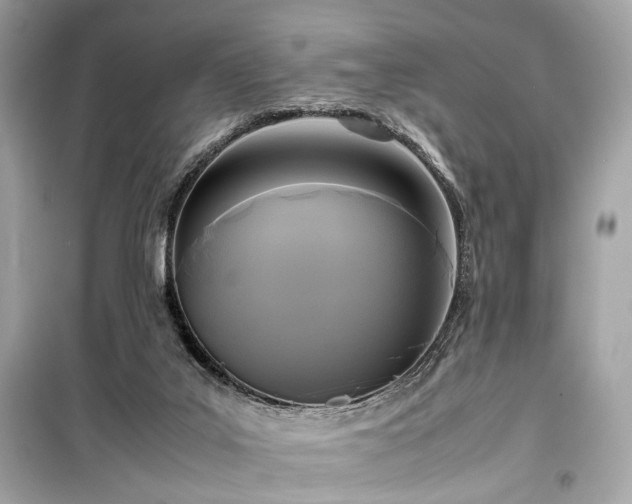 X0000099410019200805161033