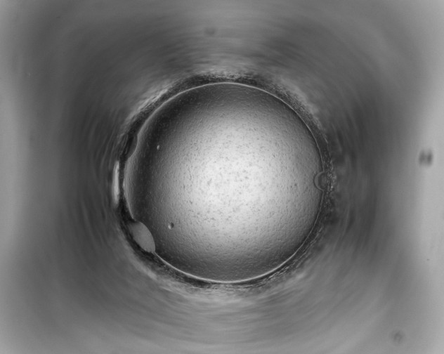 X0000099410020200805161033