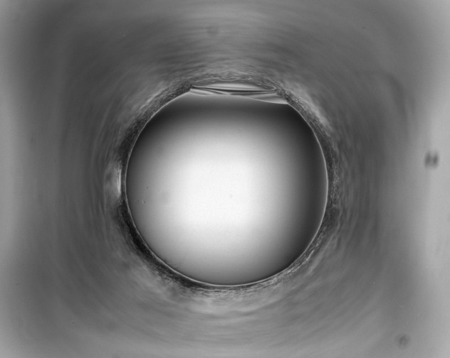 X0000099410021200805161033