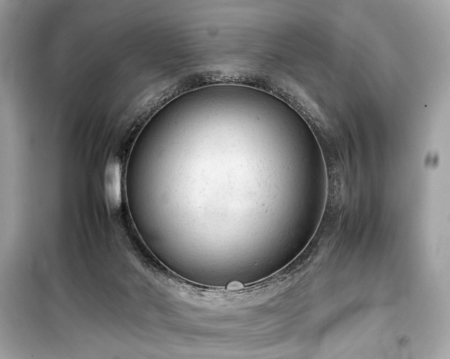 X0000099410022200805161033