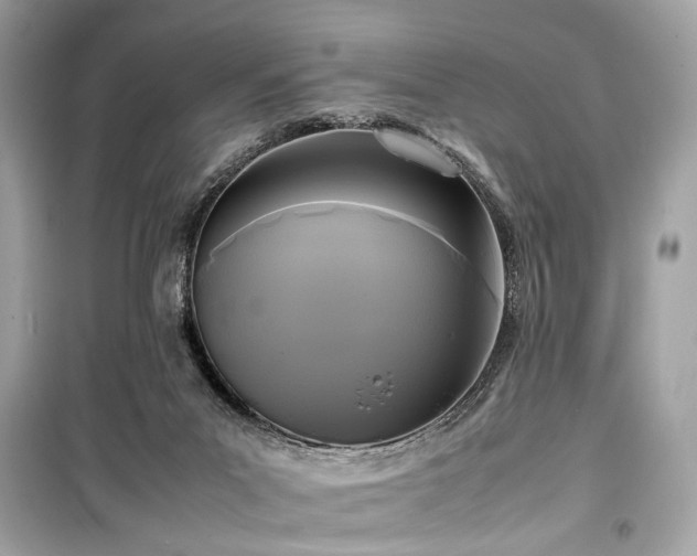 X0000099410023200805161033