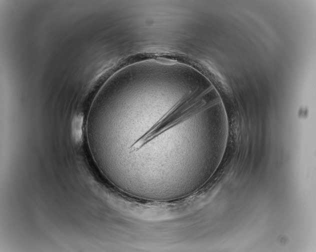 X0000099410024200805161033