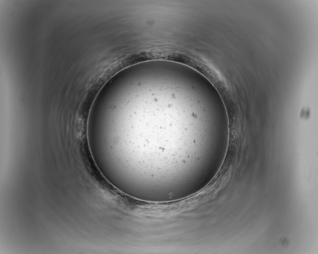 X0000099410025200805161033