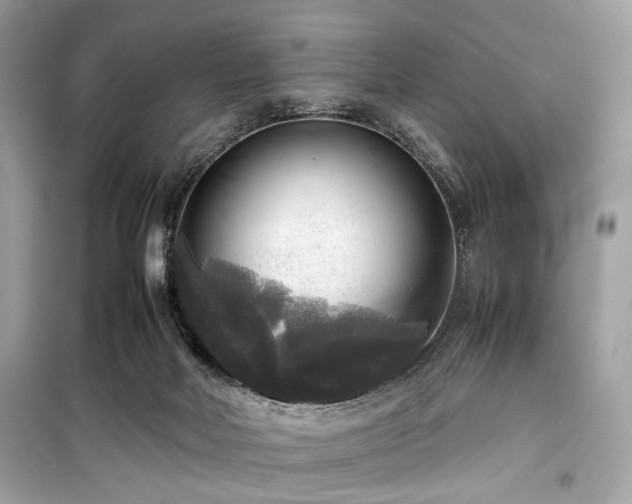 X0000099410026200805161033