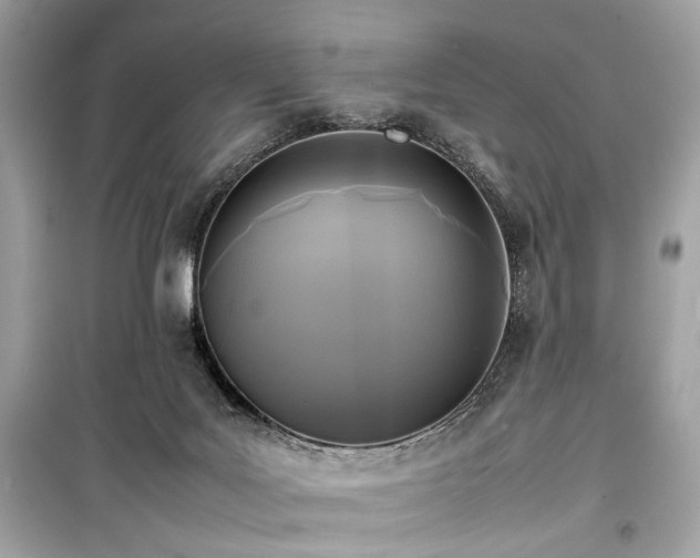 X0000099410027200805161033