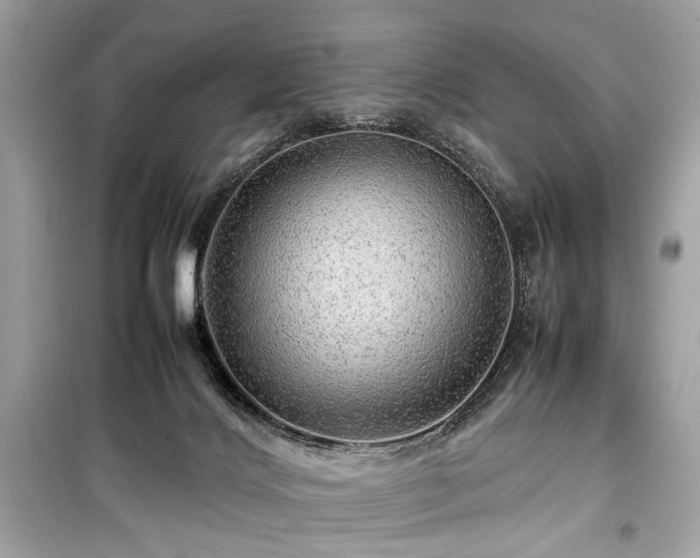 X0000099410028200805161033