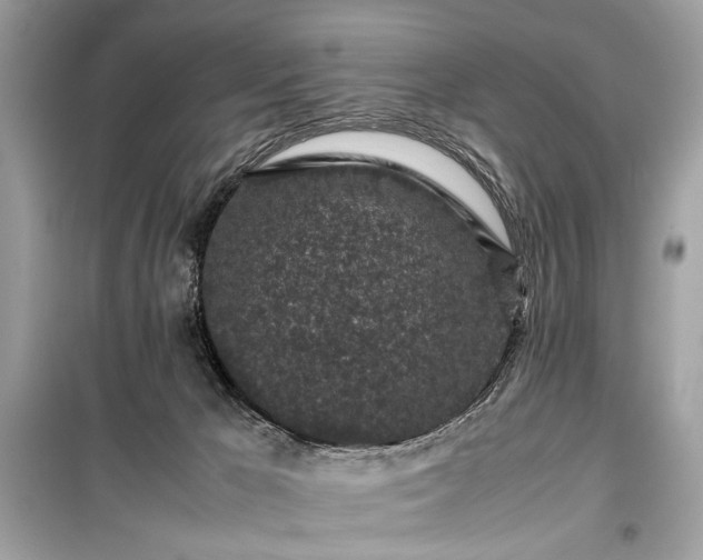 X0000099410029200805161033