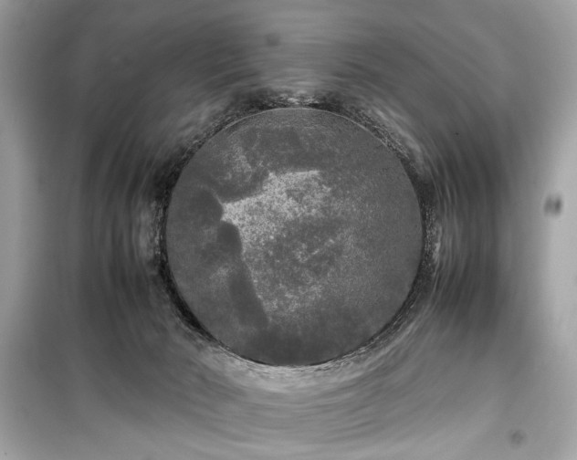 X0000099410030200805161033