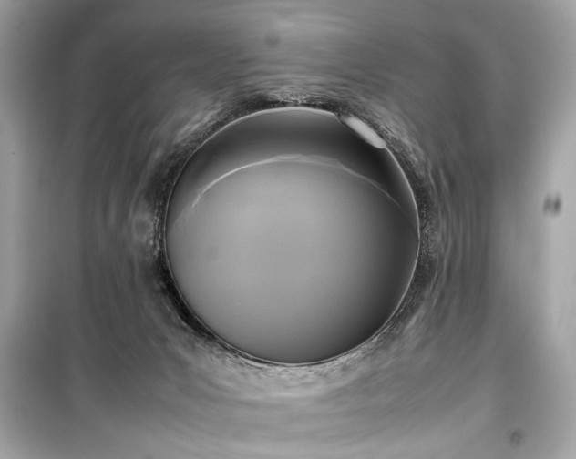 X0000099410031200805161033