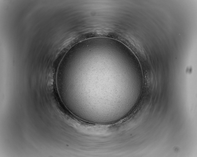 X0000099410032200805161033