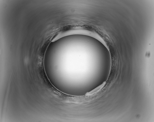 X0000099410033200805161033