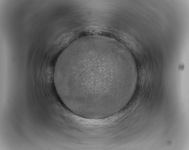 X0000099410034200805161033