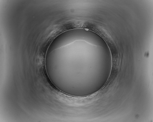 X0000099410035200805161033