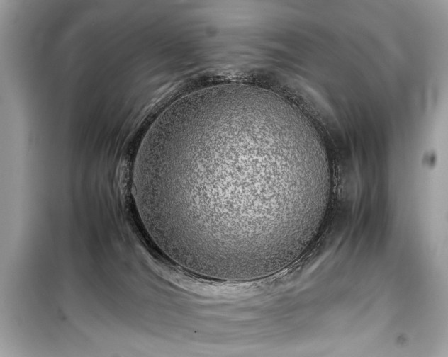 X0000099410036200805161033