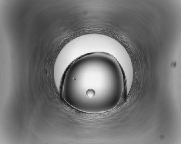 X0000099410037200805161032