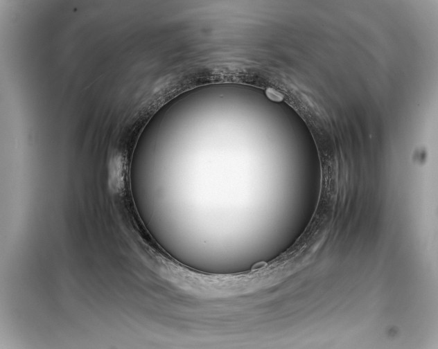 X0000099410038200805161032