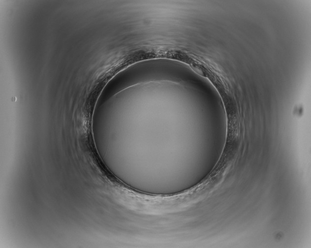 X0000099410039200805161032