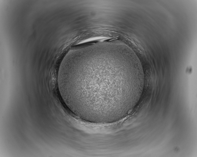 X0000099410040200805161032