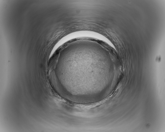 X0000099410041200805161032