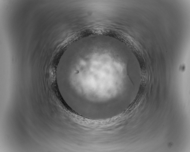 X0000099410043200805161032