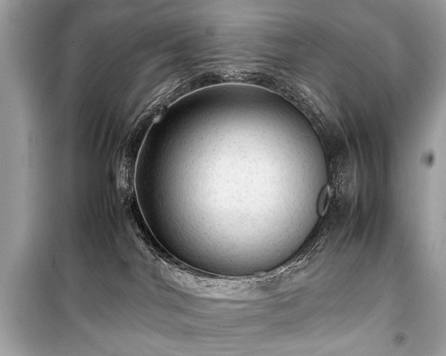 X0000099410044200805161032