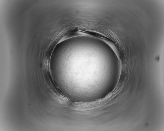 X0000099410045200805161032