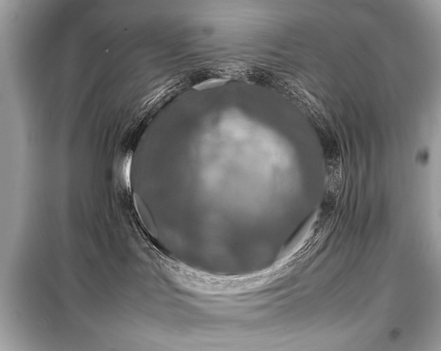 X0000099410047200805161032