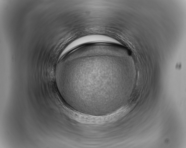 X0000099410048200805161032