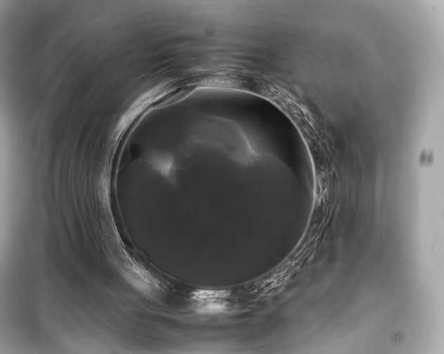 X0000099410051200805161032