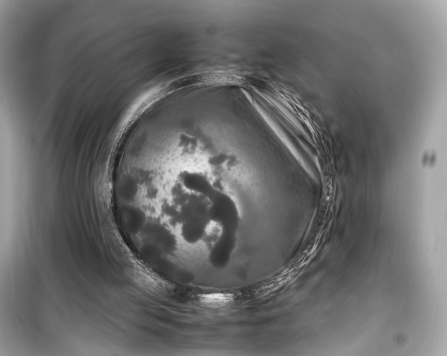 X0000099410053200805161032