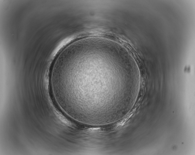 X0000099410054200805161032