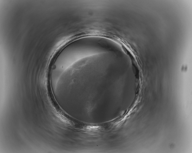 X0000099410055200805161032