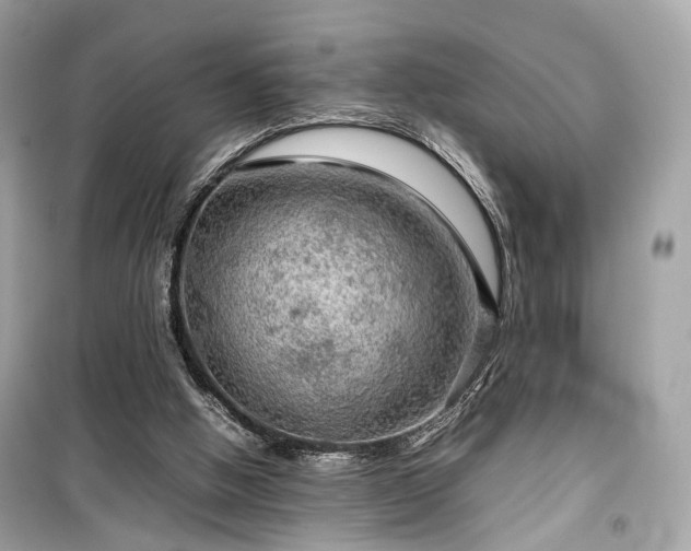 X0000099410058200805161032