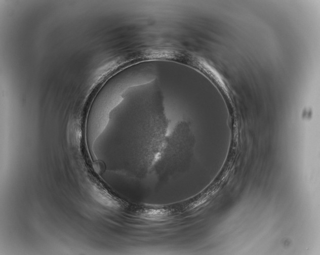 X0000099410059200805161032