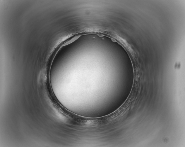 X0000099410060200805161032