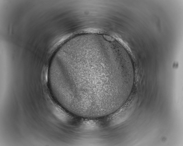 X0000099410062200805161032