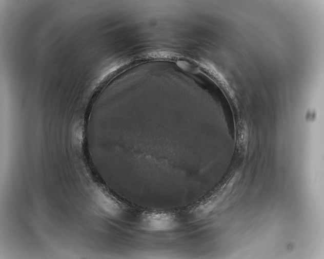 X0000099410063200805161032