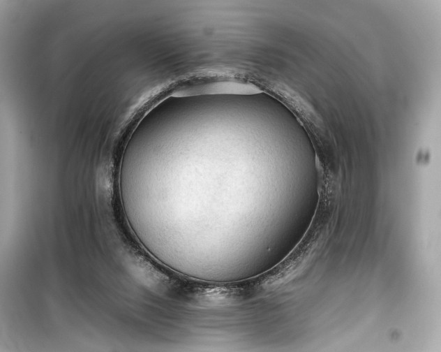 X0000099410064200805161032