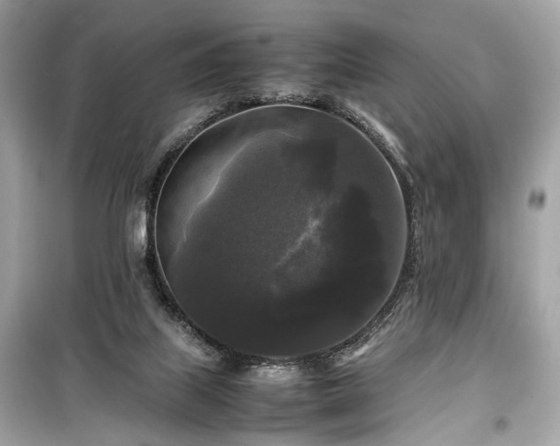 X0000099410067200805161032