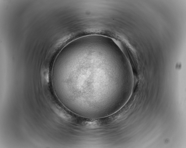 X0000099410068200805161032