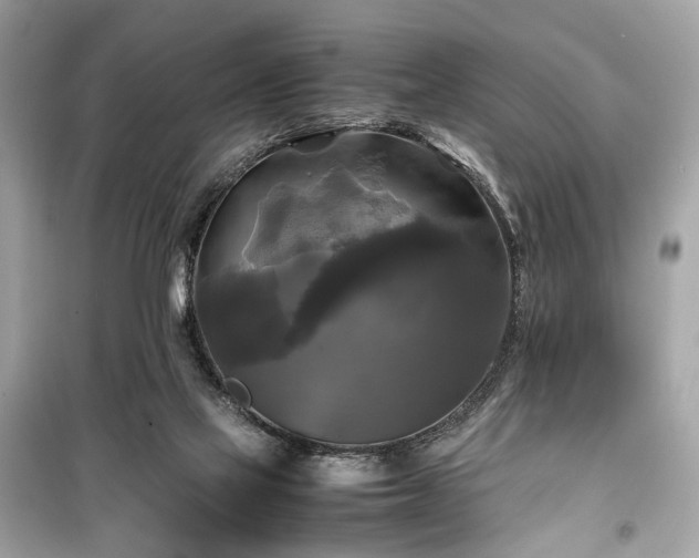 X0000099410069200805161032