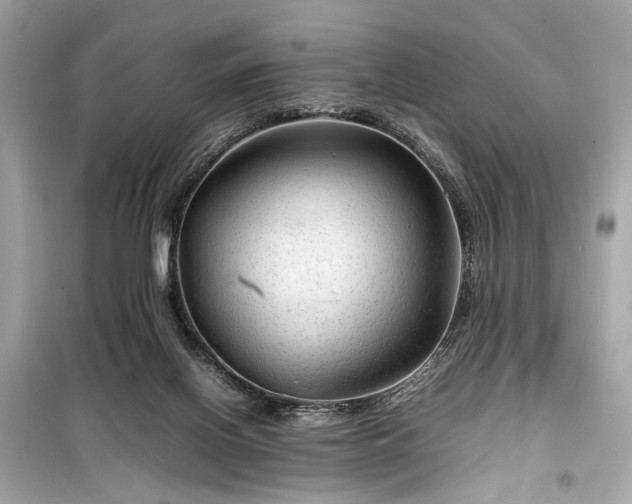 X0000099410070200805161032