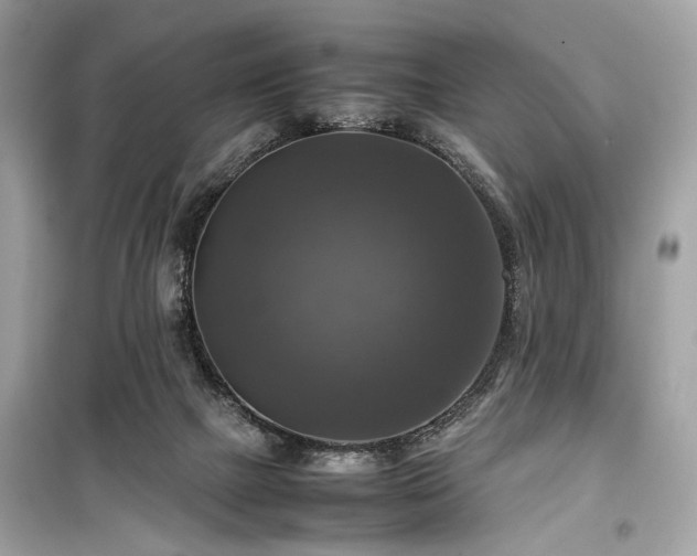 X0000099410073200805161032