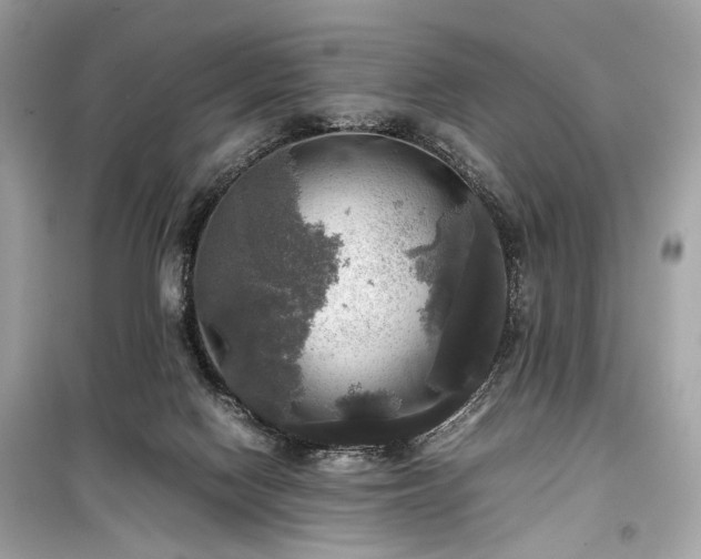 X0000099410074200805161032