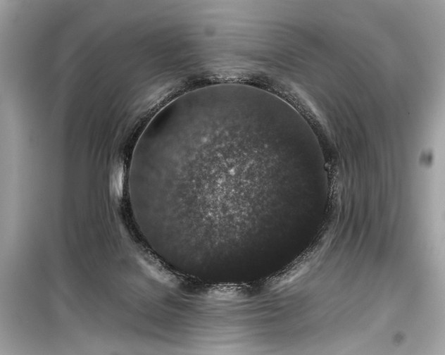 X0000099410076200805161032