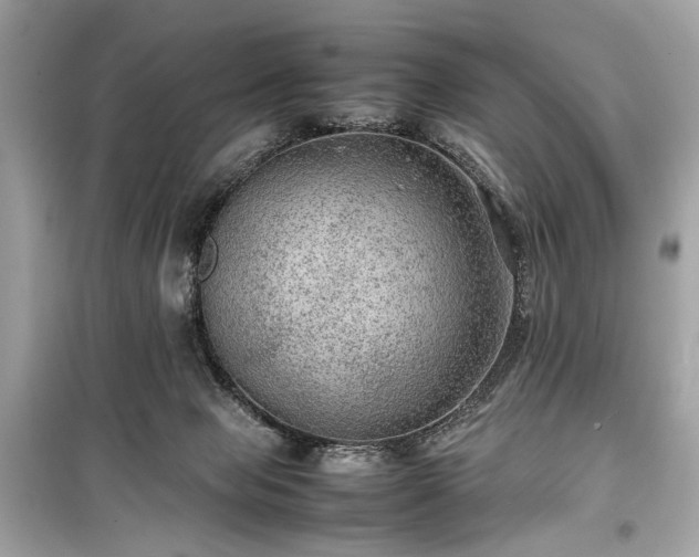 X0000099410077200805161032