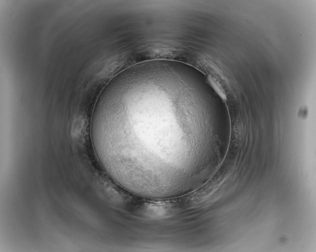 X0000099410079200805161032