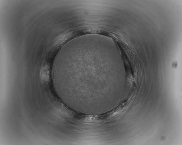 X0000099410080200805161032